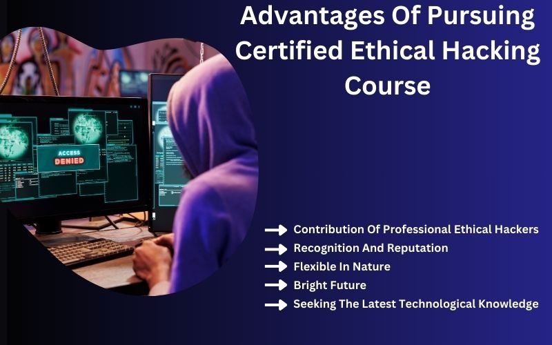 Certified ethical hacking course